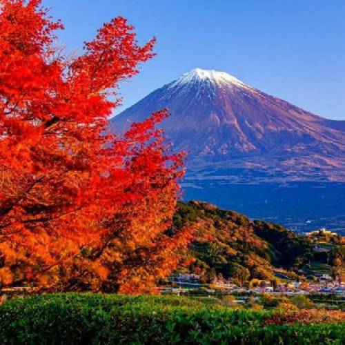 حسین حسنی دنیای وارونه همینه که عزیز من 